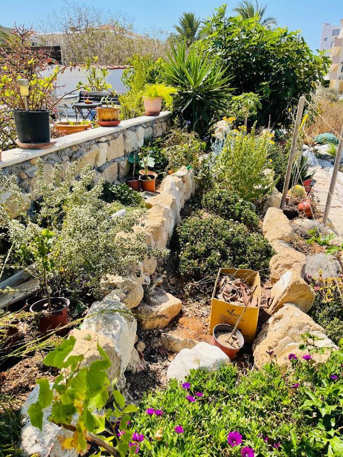 Peaceful Townhouse With Private Pool Near The Sea Apartment Paphos Exterior foto